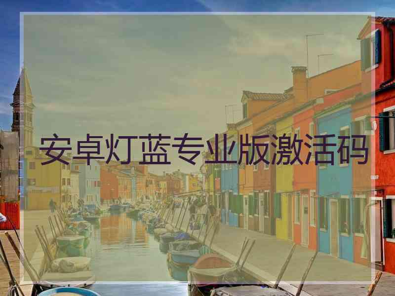安卓灯蓝专业版激活码