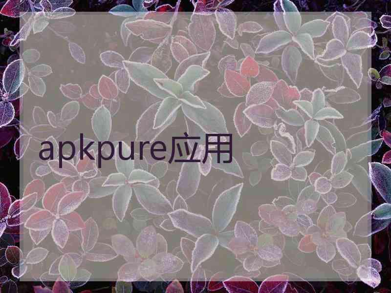 apkpure应用