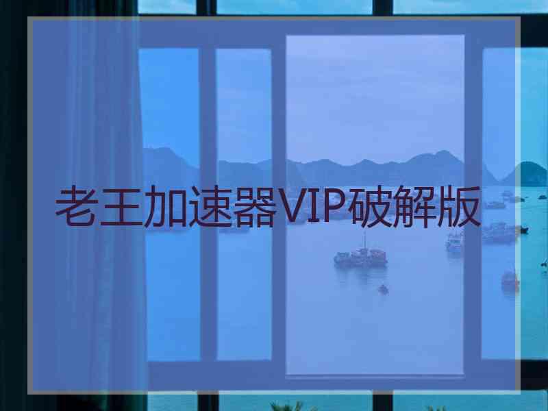 老王加速器VIP破解版