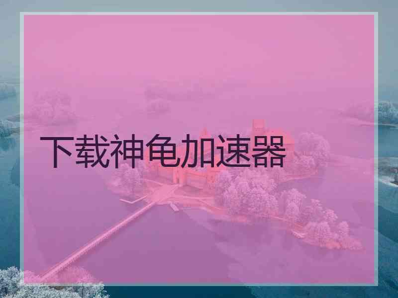 下载神龟加速器