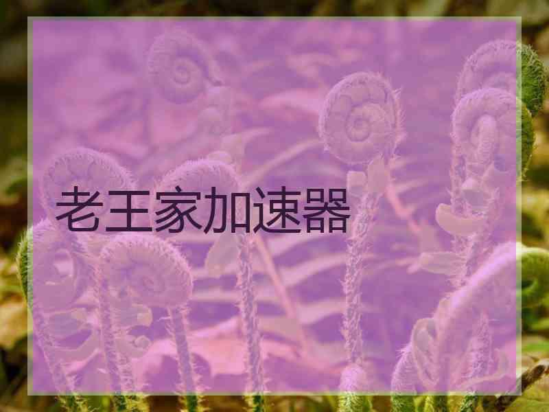 老王家加速器