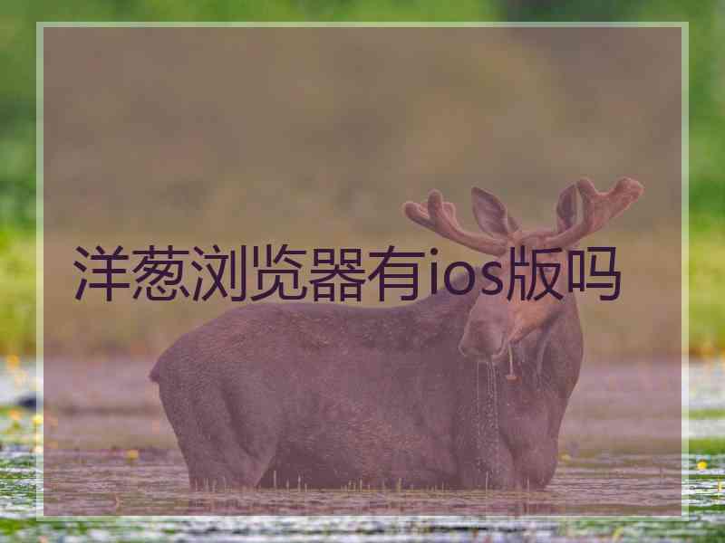 洋葱浏览器有ios版吗