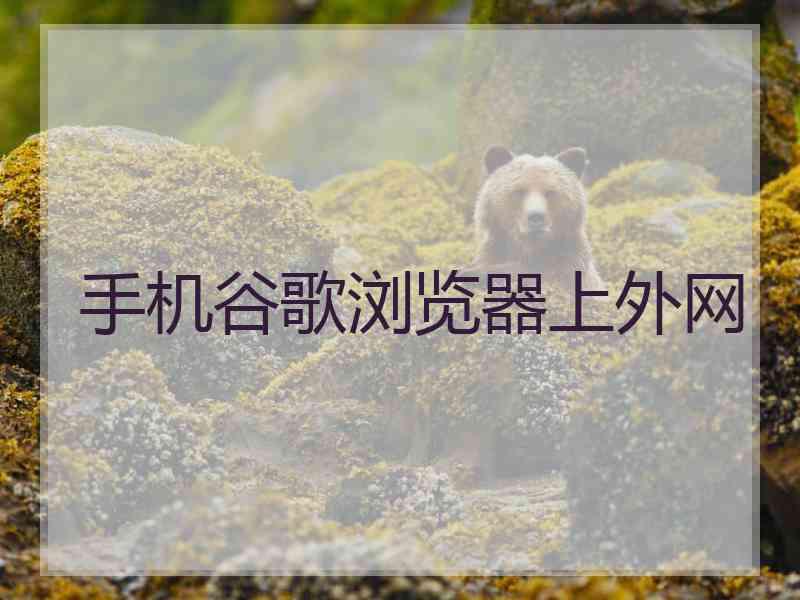 手机谷歌浏览器上外网