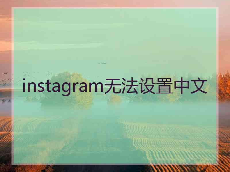 instagram无法设置中文
