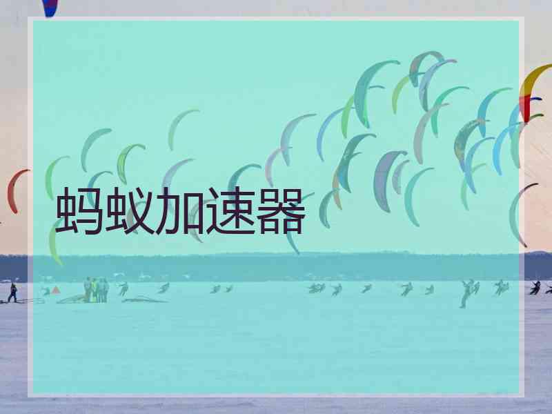 蚂蚁加速器