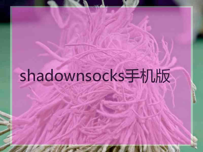 shadownsocks手机版