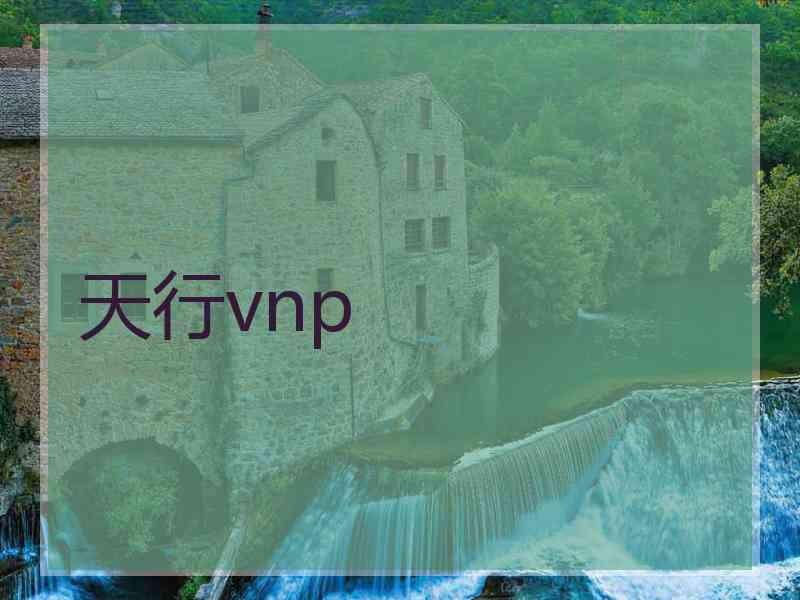 天行vnp