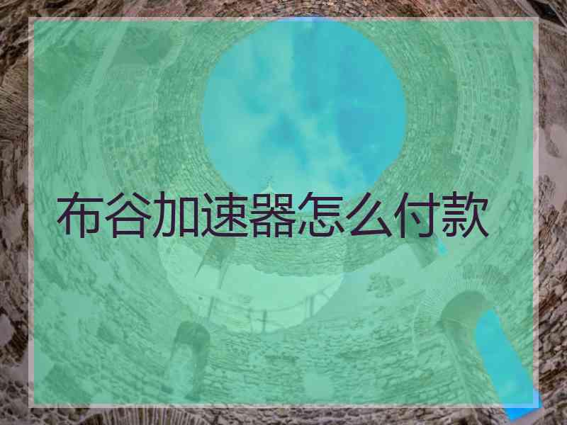 布谷加速器怎么付款