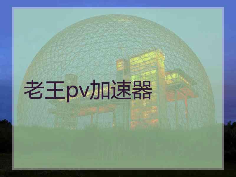 老王pv加速器
