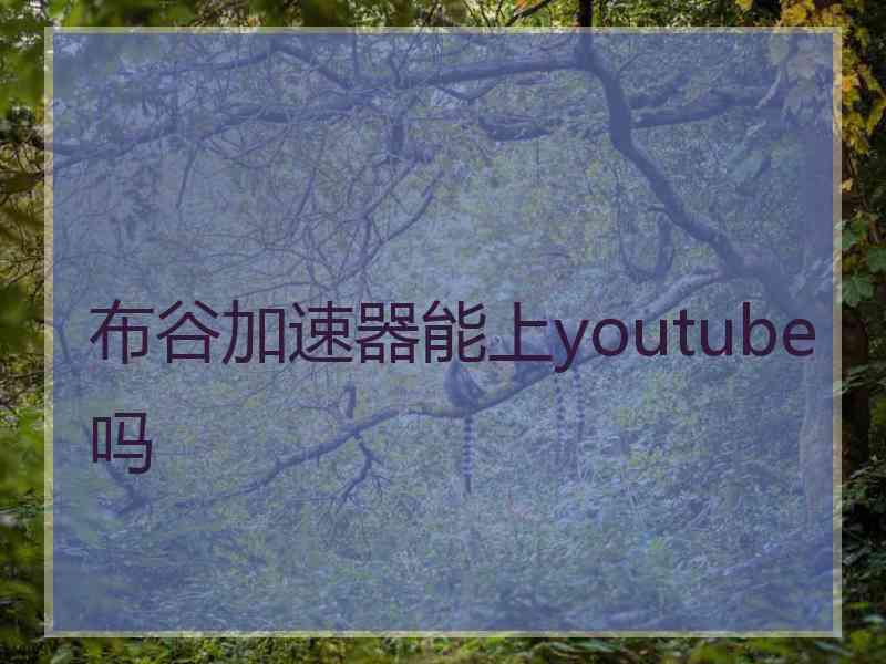 布谷加速器能上youtube吗