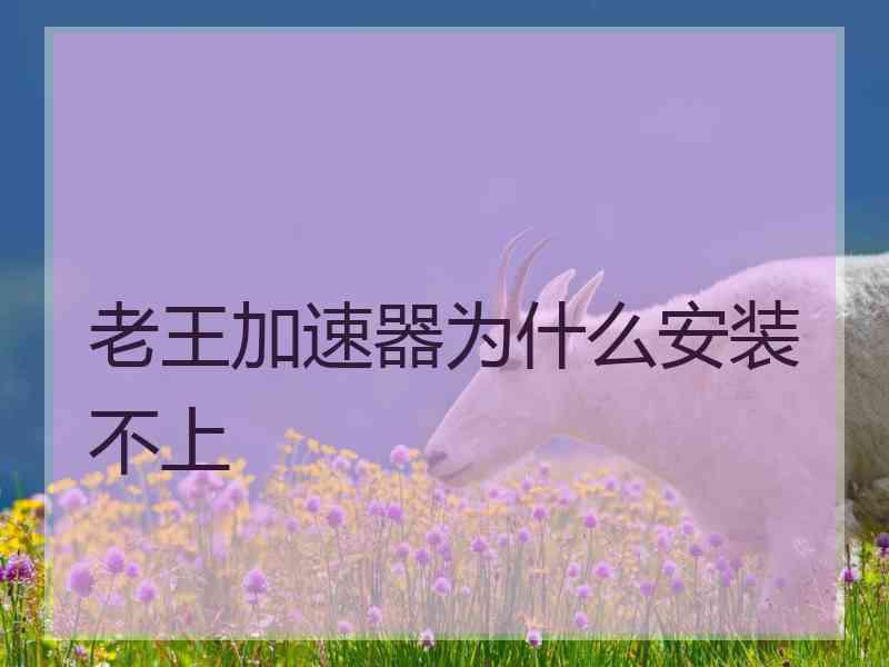 老王加速器为什么安装不上