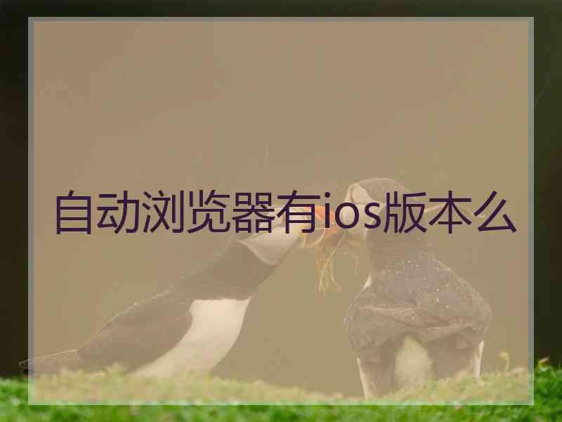 自动浏览器有ios版本么