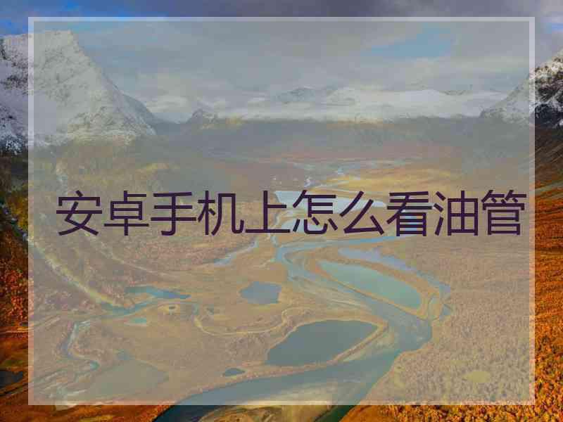 安卓手机上怎么看油管