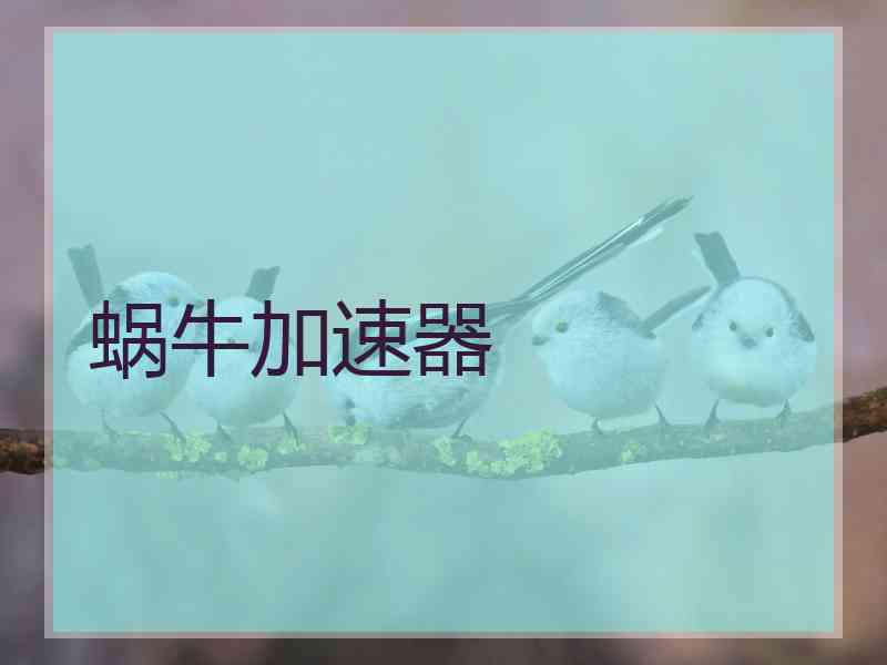 蜗牛加速器