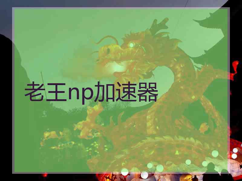 老王np加速器