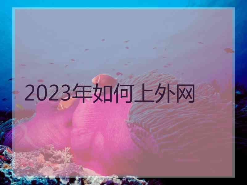 2023年如何上外网