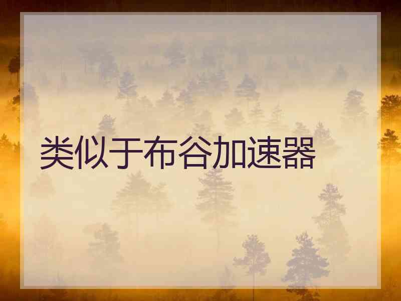 类似于布谷加速器