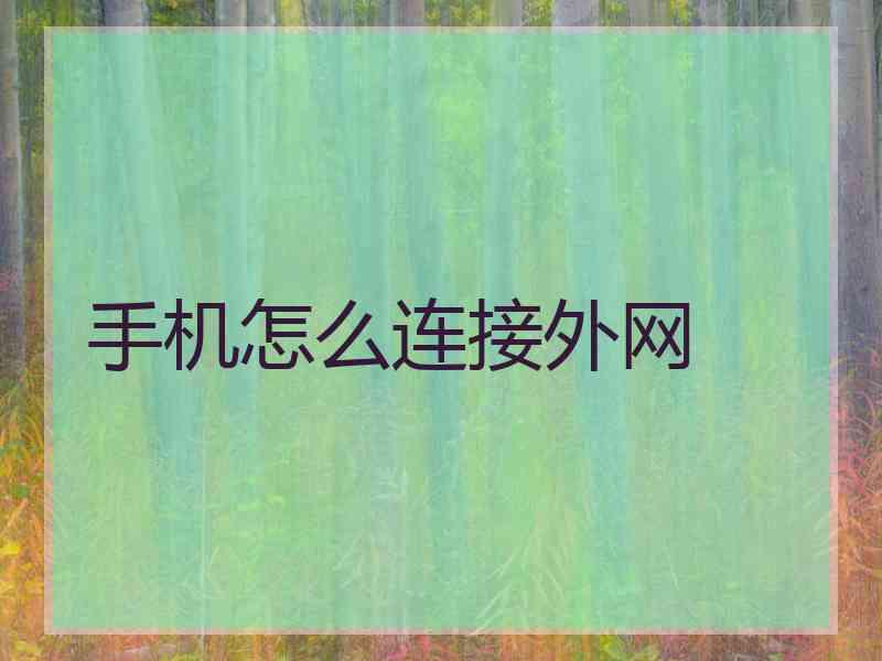 手机怎么连接外网