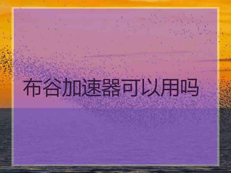布谷加速器可以用吗