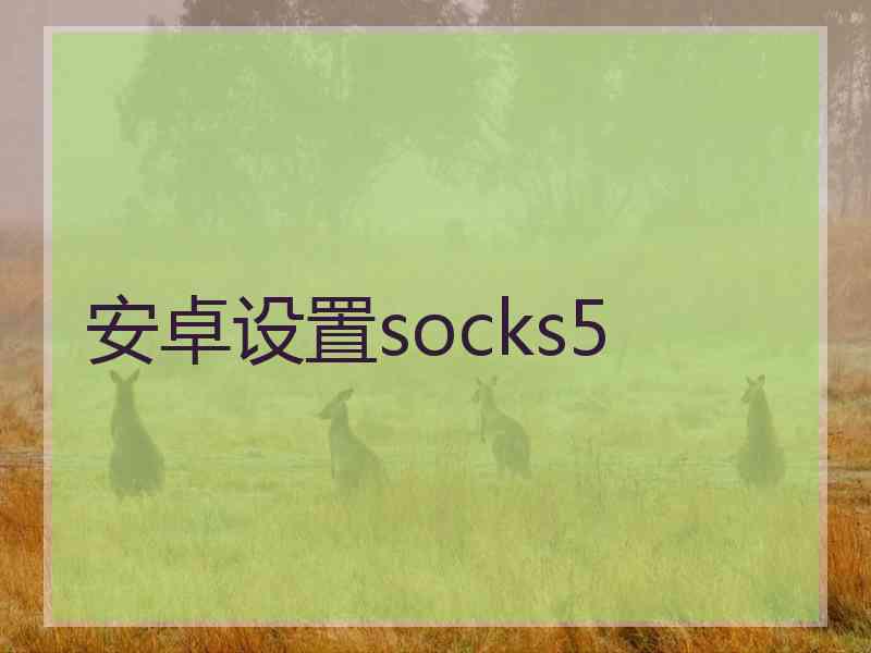安卓设置socks5