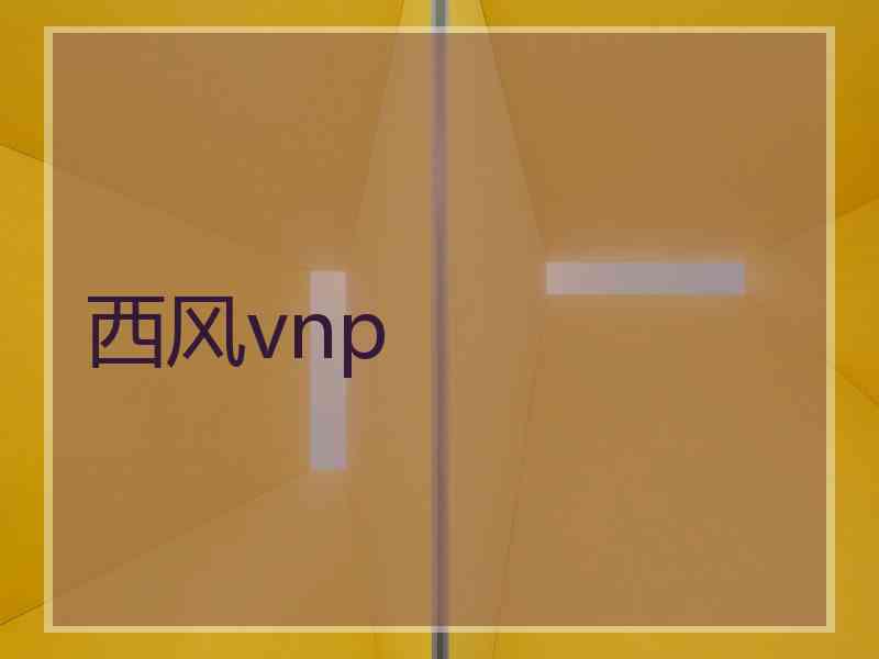 西风vnp
