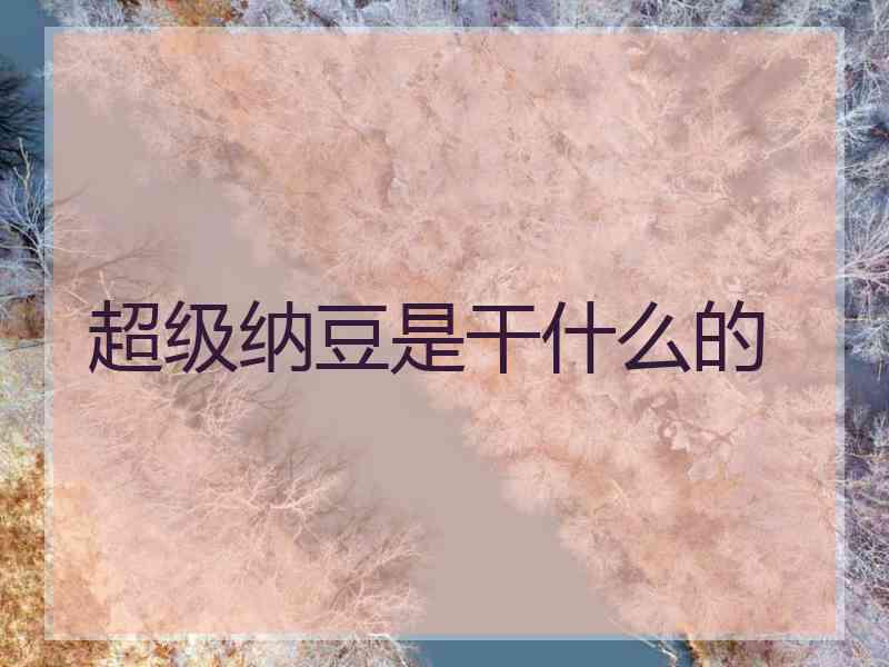 超级纳豆是干什么的