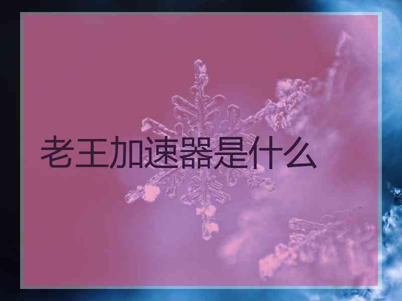 老王加速器是什么