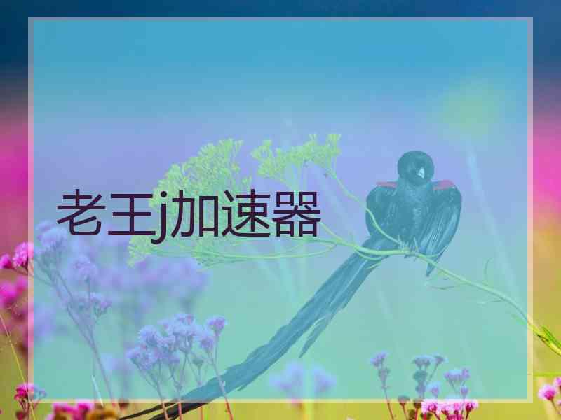 老王j加速器