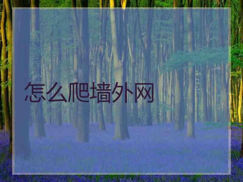 怎么爬墙外网