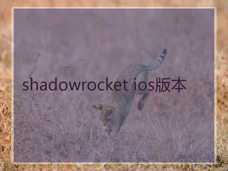 shadowrocket ios版本