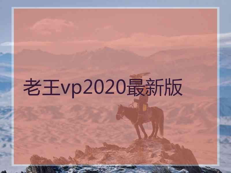 老王vp2020最新版