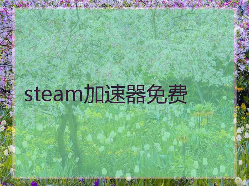 steam加速器免费