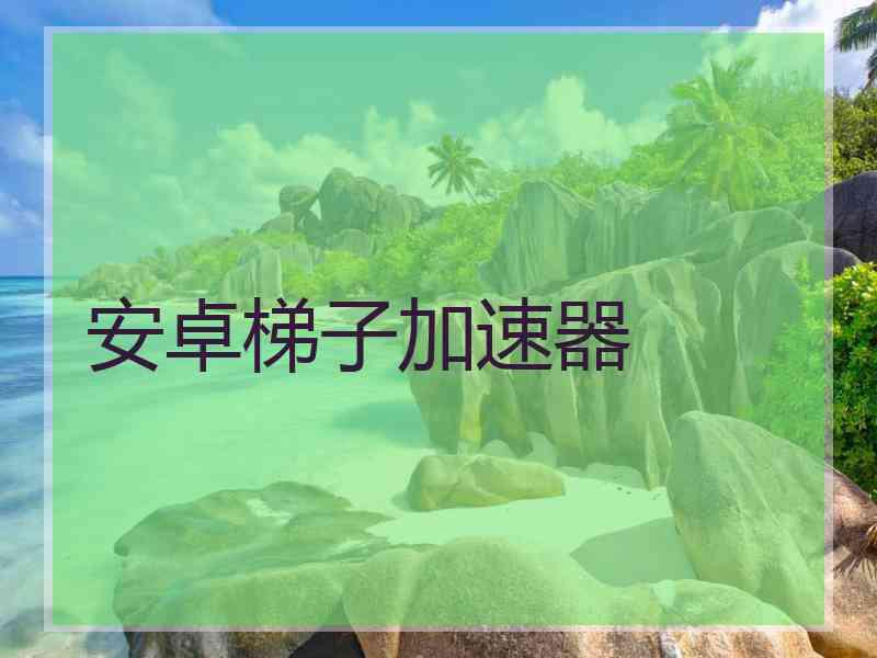 安卓梯子加速器