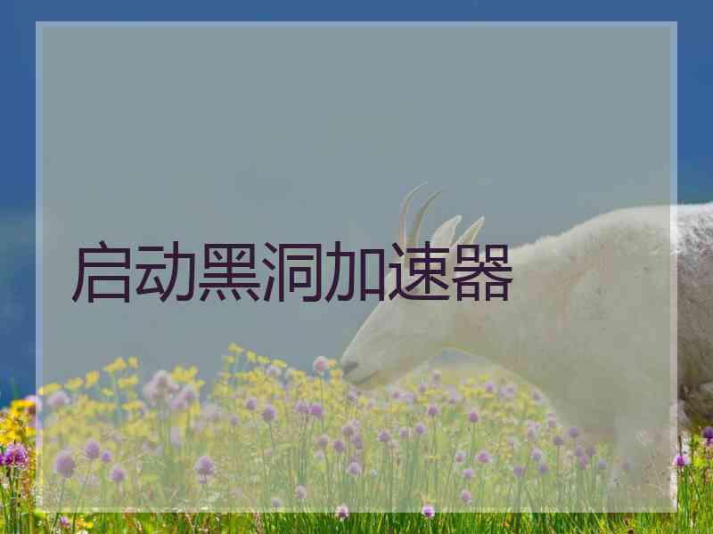 启动黑洞加速器