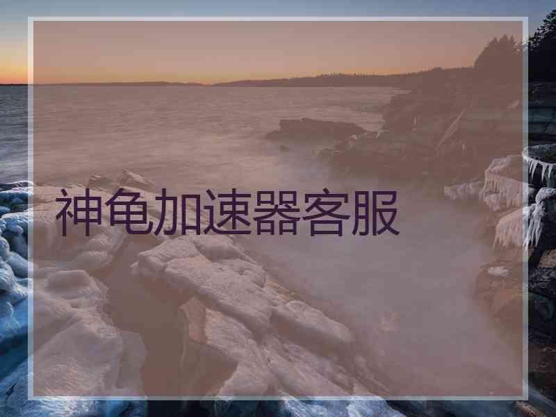 神龟加速器客服