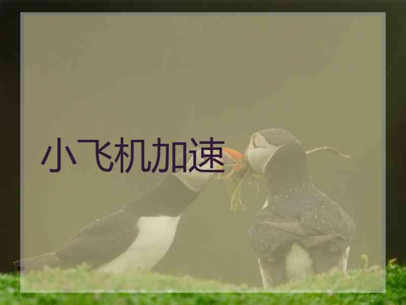 小飞机加速