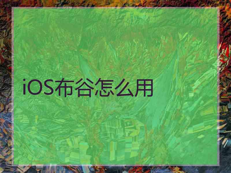 iOS布谷怎么用