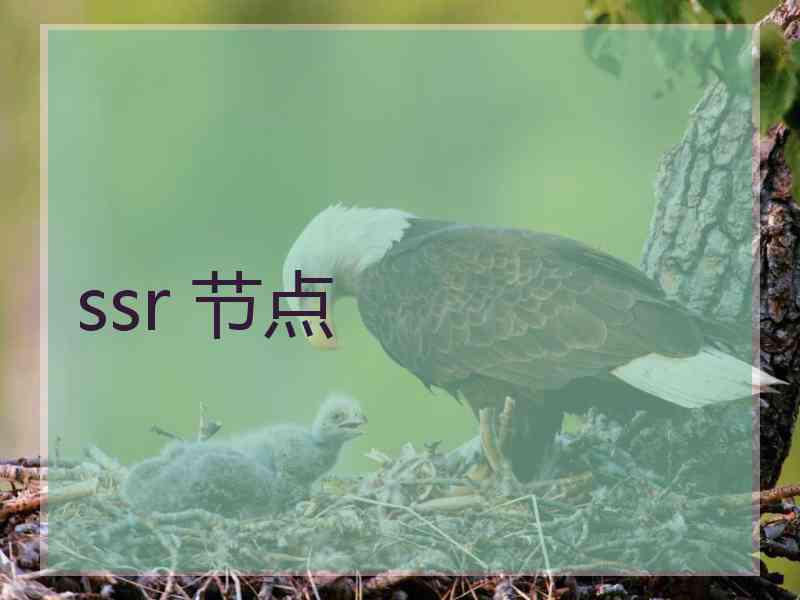ssr 节点