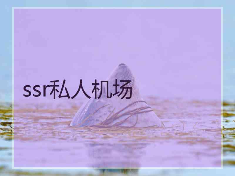 ssr私人机场