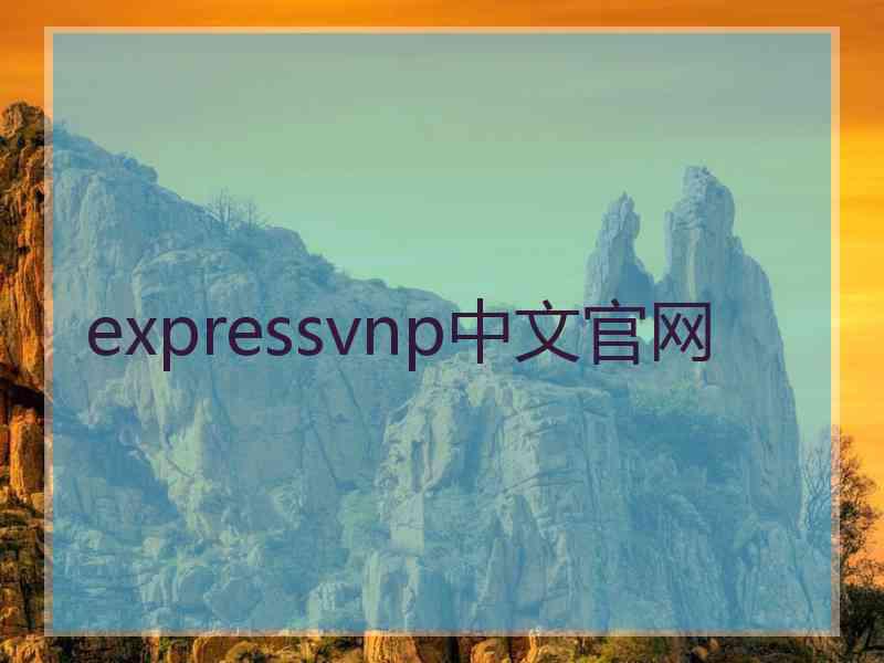 expressvnp中文官网