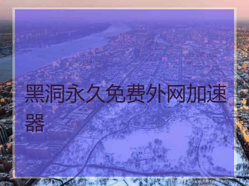 黑洞永久免费外网加速器