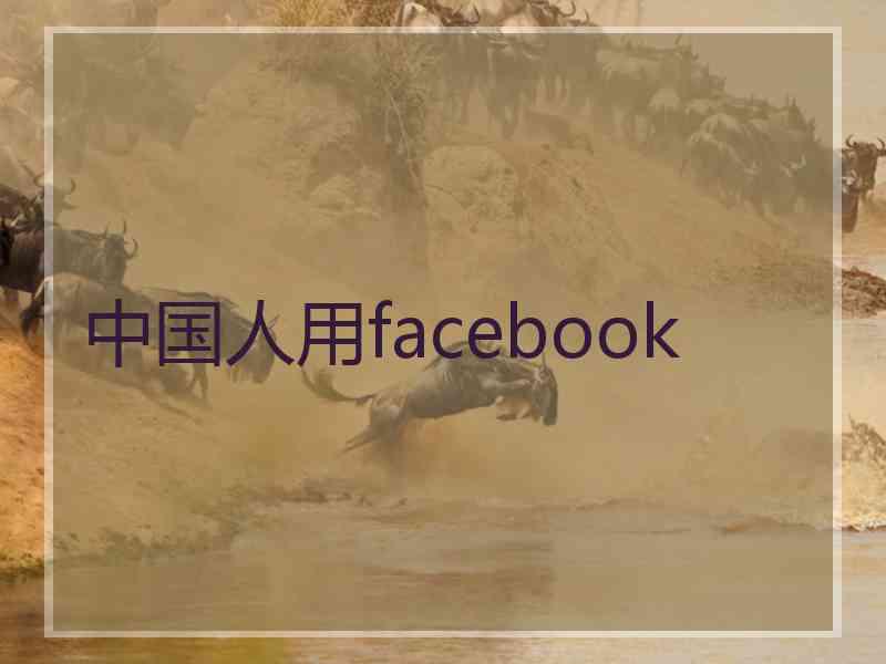 中国人用facebook