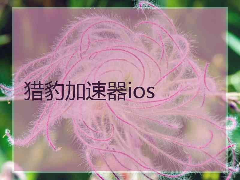 猎豹加速器ios