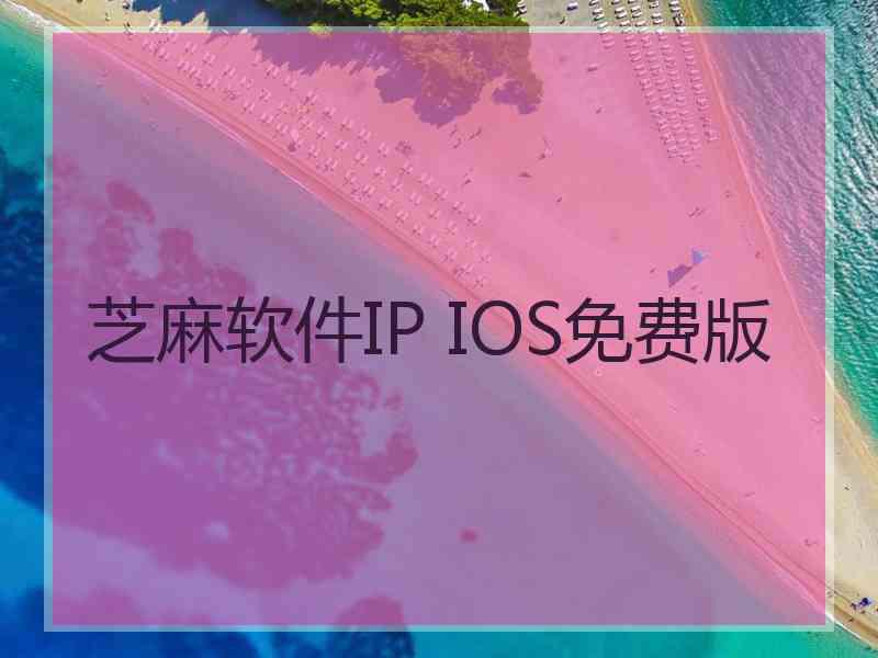 芝麻软件IP IOS免费版