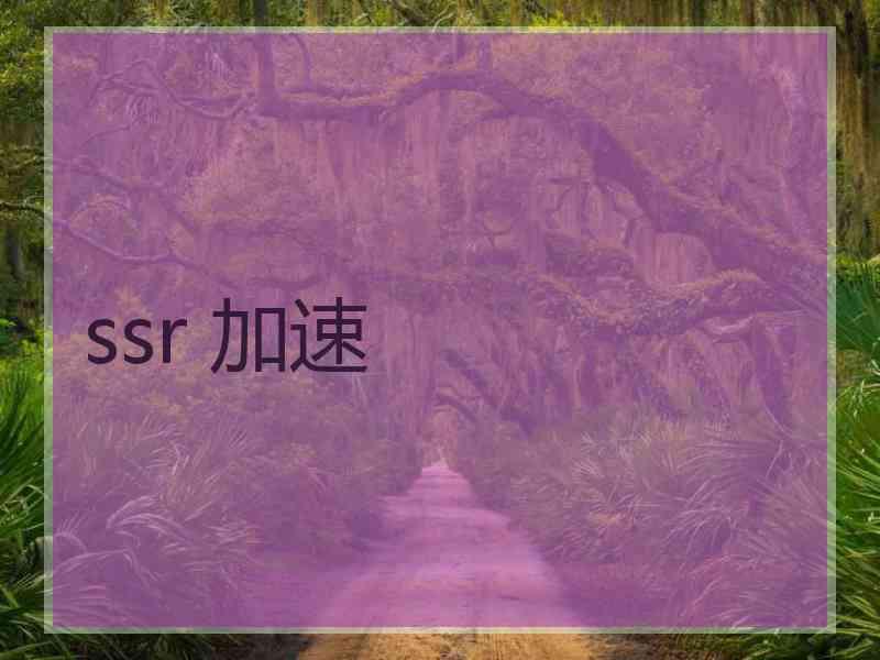ssr 加速