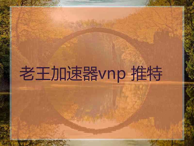 老王加速器vnp 推特