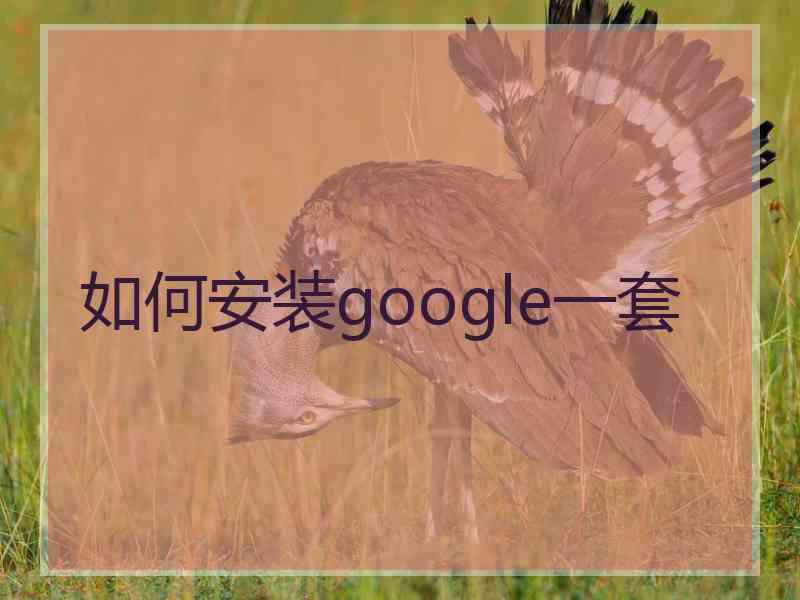 如何安装google一套