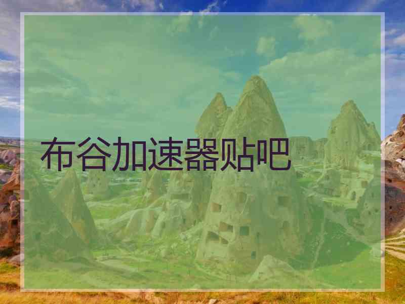 布谷加速器贴吧