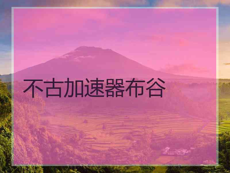 不古加速器布谷
