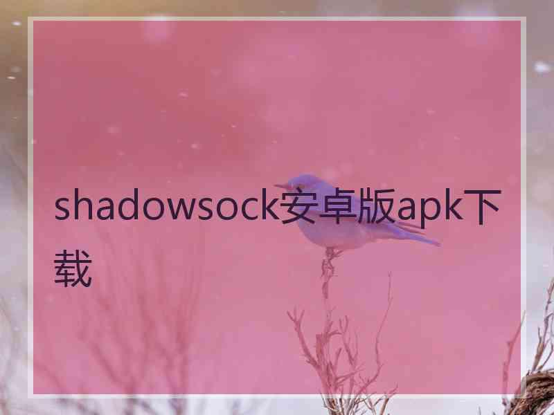 shadowsock安卓版apk下载